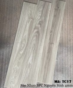 Sàn nhựa hèm khóa TC17